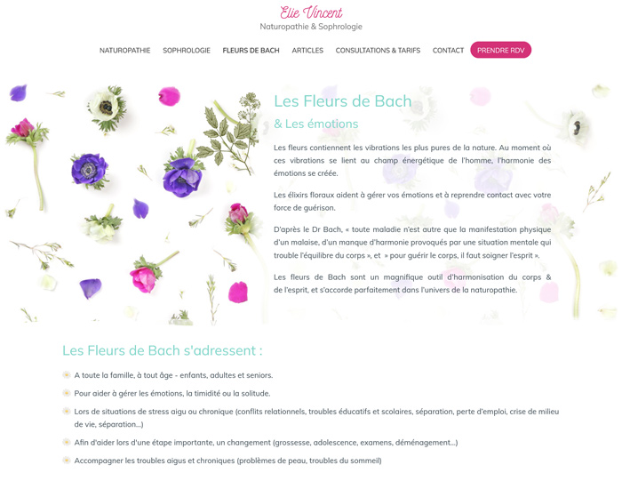 Capture d'écran du site internet d'Élie VINCENT