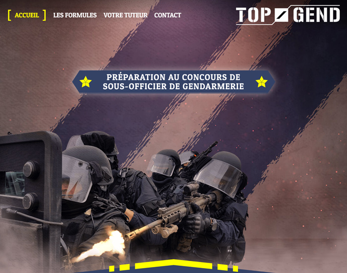 Capture d'écran du site internet TopGend