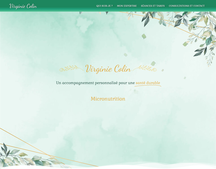 Capture d'écran du site internet de Virginie Colin
